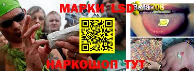 шишки Бузулук