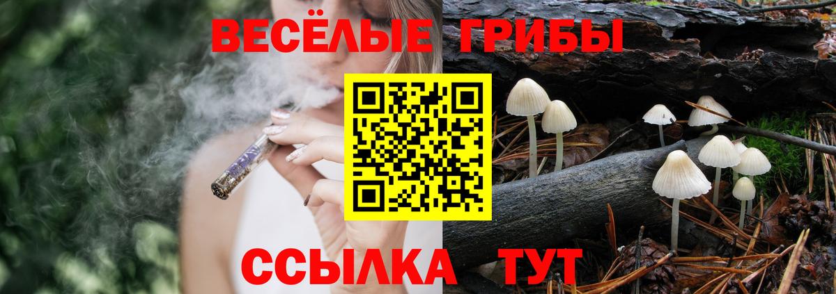 купить   Вход с VPN  Лобня  Галлюциногенные грибы мицелий 